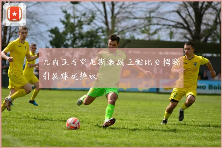 几内亚与突尼斯激战正酣比分揭晓引发球迷热议