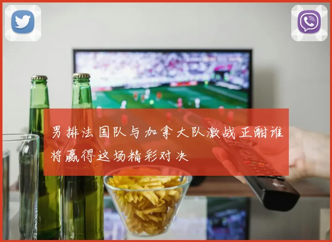 男排法国队与加拿大队激战正酣谁将赢得这场精彩对决